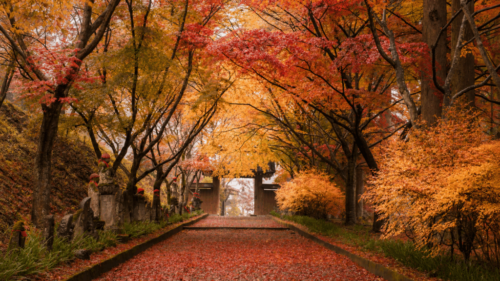 金蔵院の山門と紅葉に染まる参道